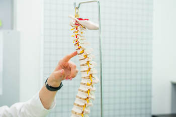 Medical Imaging used to understand condition and explain to patient using a spine model